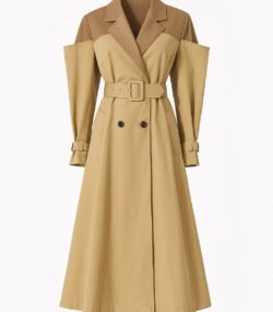 Image Oct 274 AM moon